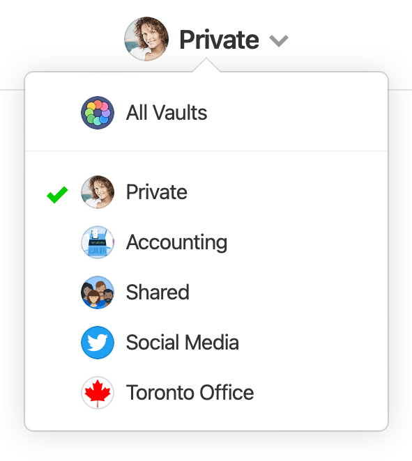 The vault menu dropdown above the item list with the Private vault selected