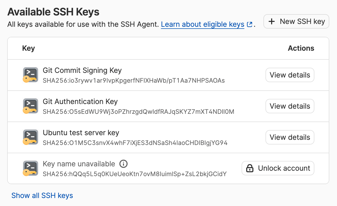 The SSH agent screen showing a list of available SSH keys stored in 1Password