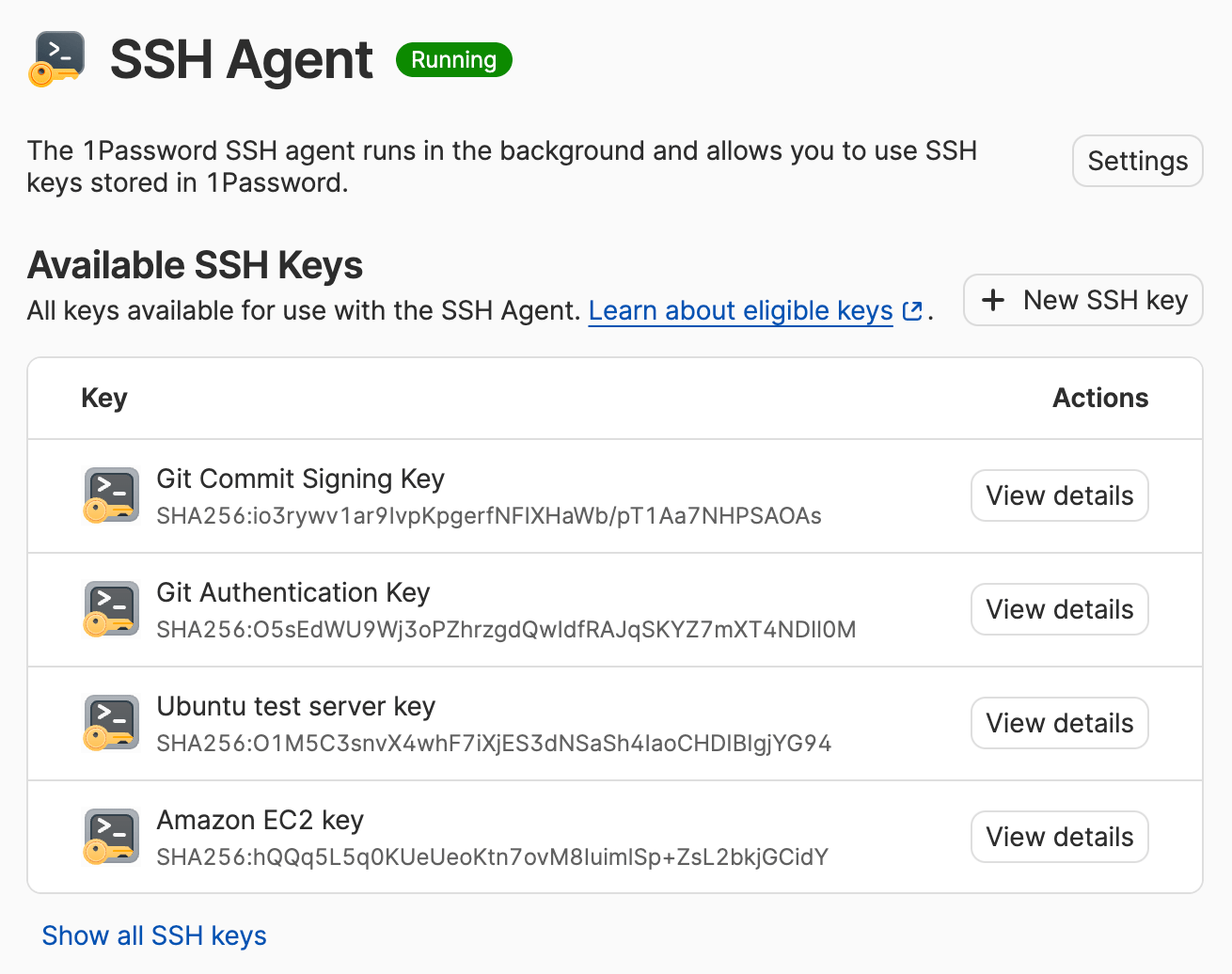 The SSH agent screen showing a list of available SSH keys stored in 1Password