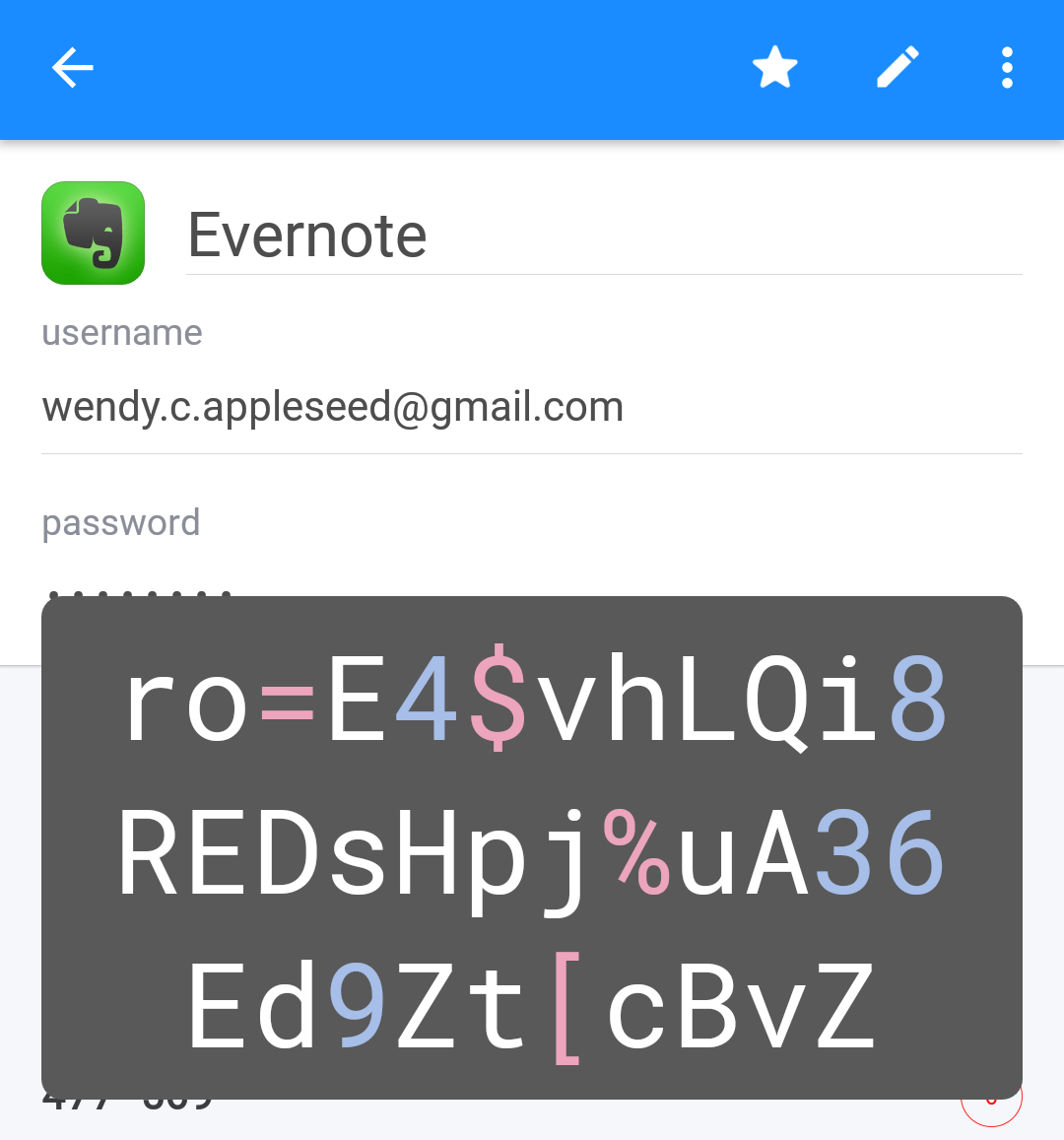 Magnify passwords with Large Type