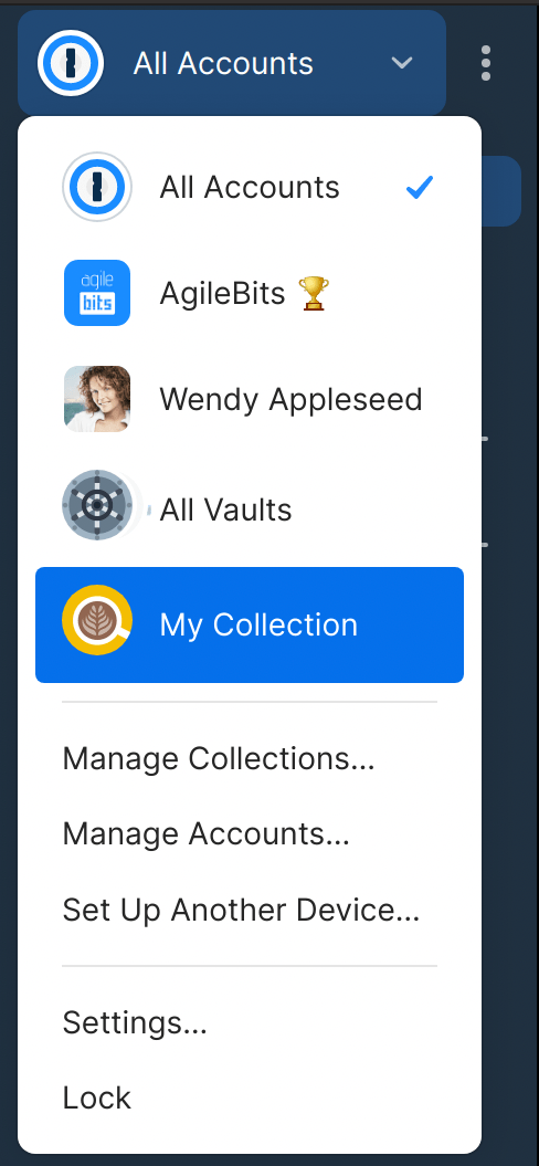 The accounts and collections list