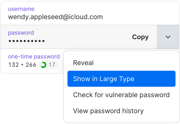 Click 'Show in Large Type' to enlarge passwords