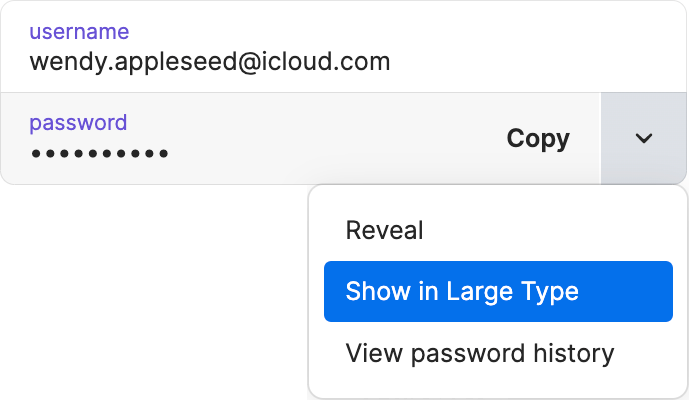 Click 'show in large type' to enlarge passwords