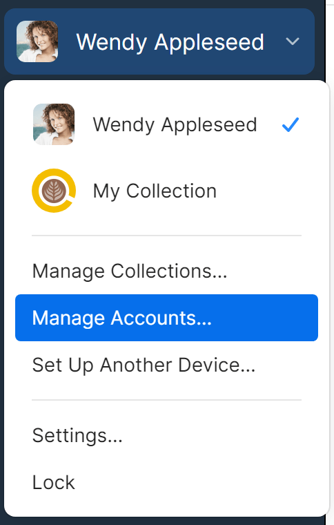 The menu that appears when you click your account or collection at the top of the sidebar.