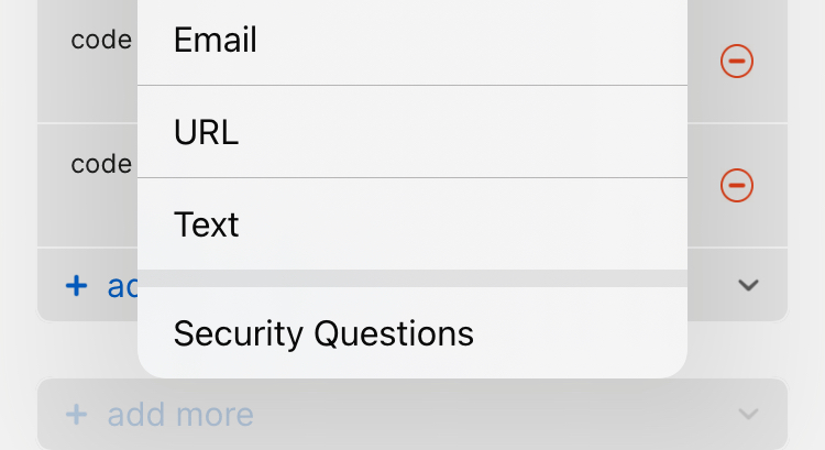 The option to create security questions shown in the Add More menu.