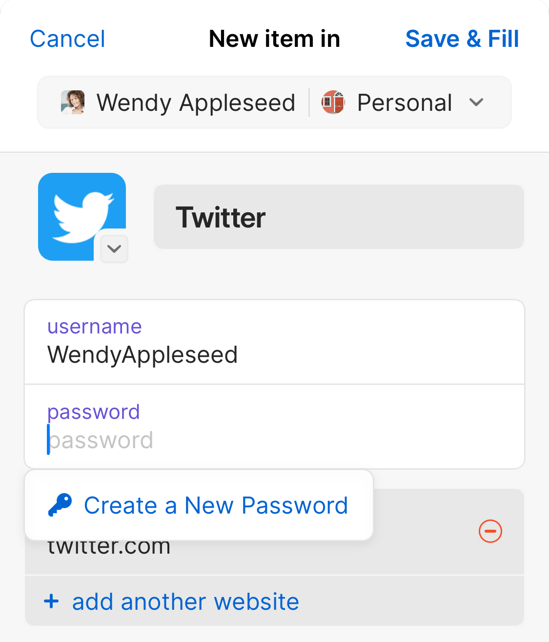 Creating a new login in 1Password for iOS.