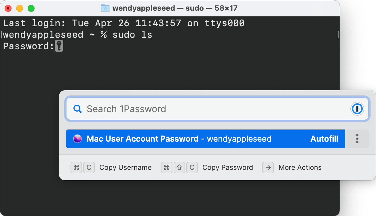 Autofill your Mac login password in Terminal with 1Password